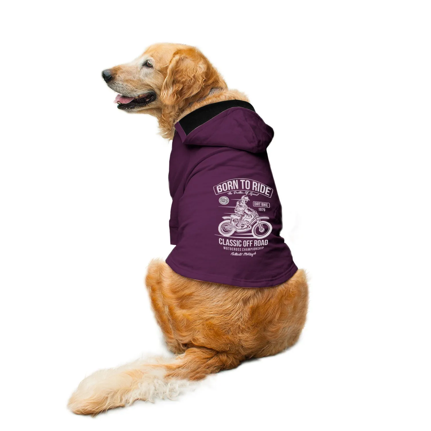 Born To Ride Dog Hoodie Jacket