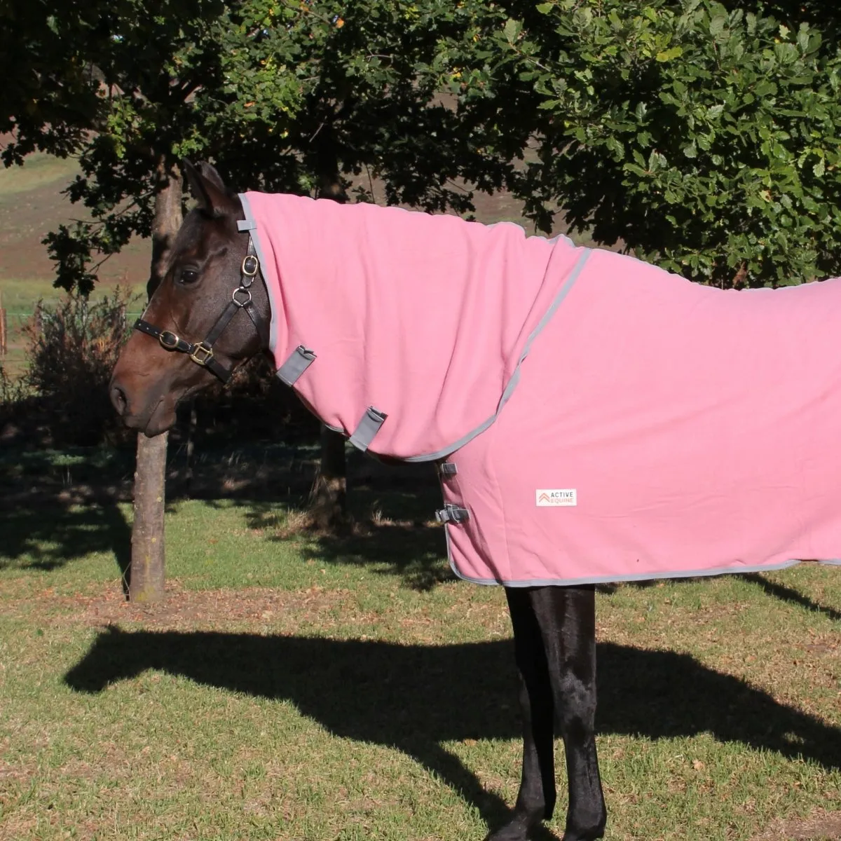 Fleece Horse Rug and Combo Rug | Active Equine