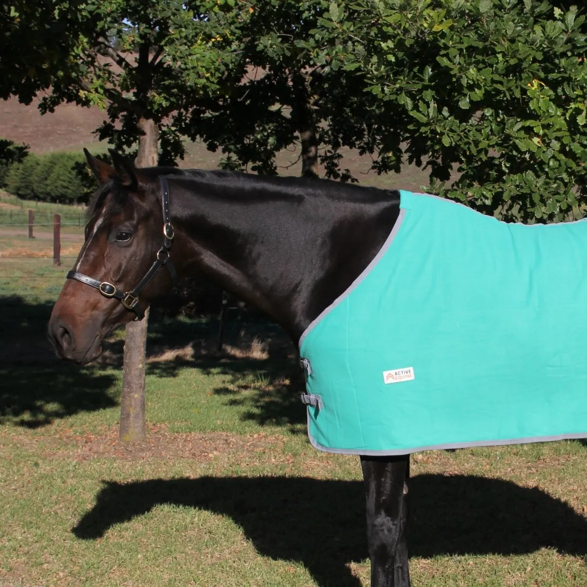 Fleece Horse Rug and Combo Rug | Active Equine