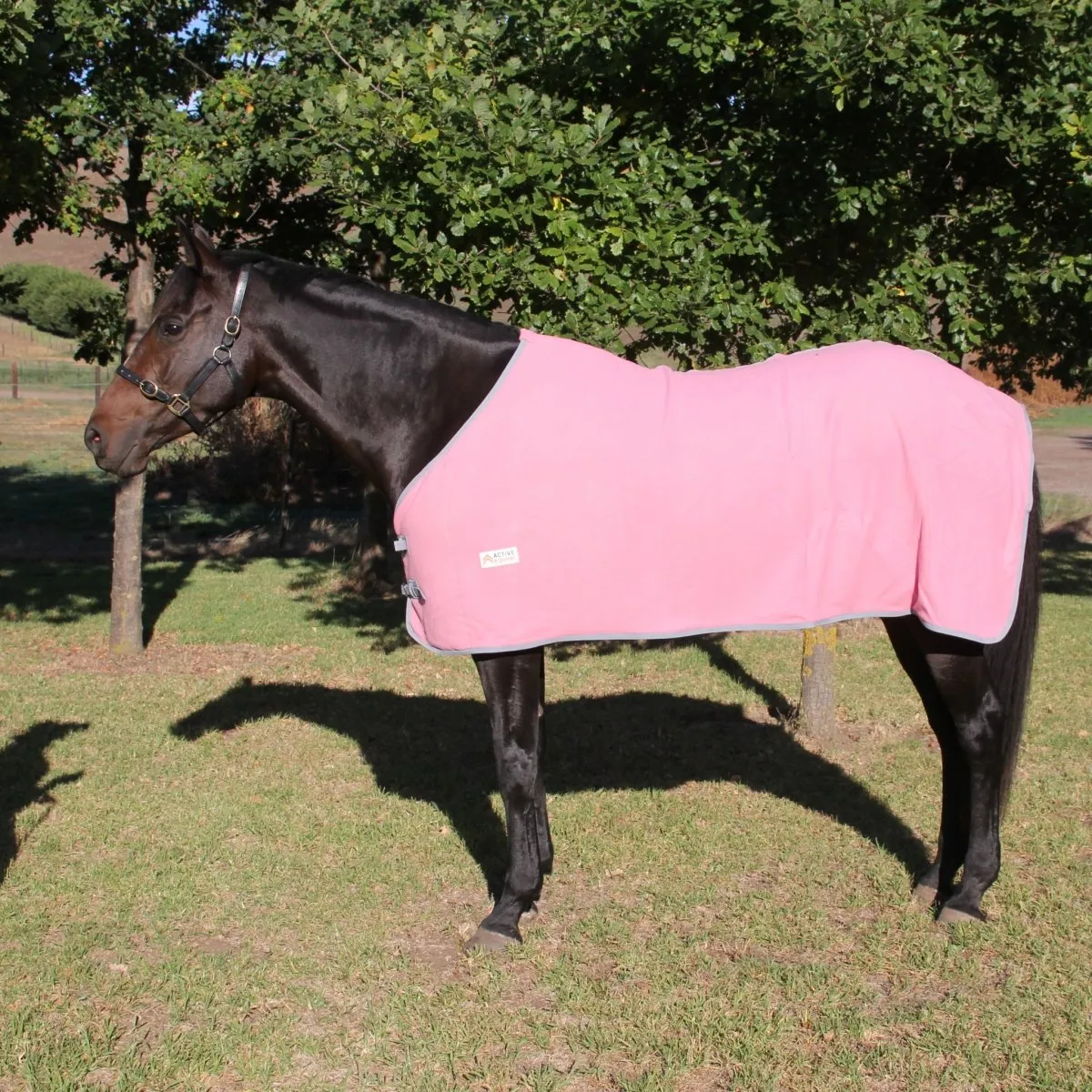 Fleece Horse Rug and Combo Rug | Active Equine