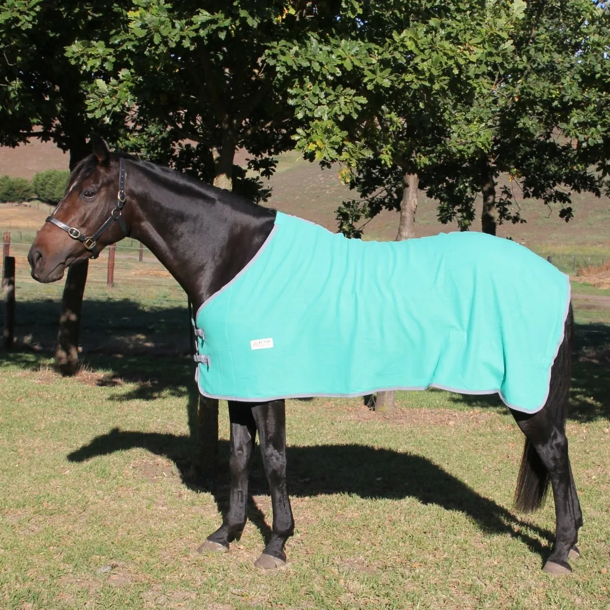 Fleece Horse Rug and Combo Rug | Active Equine