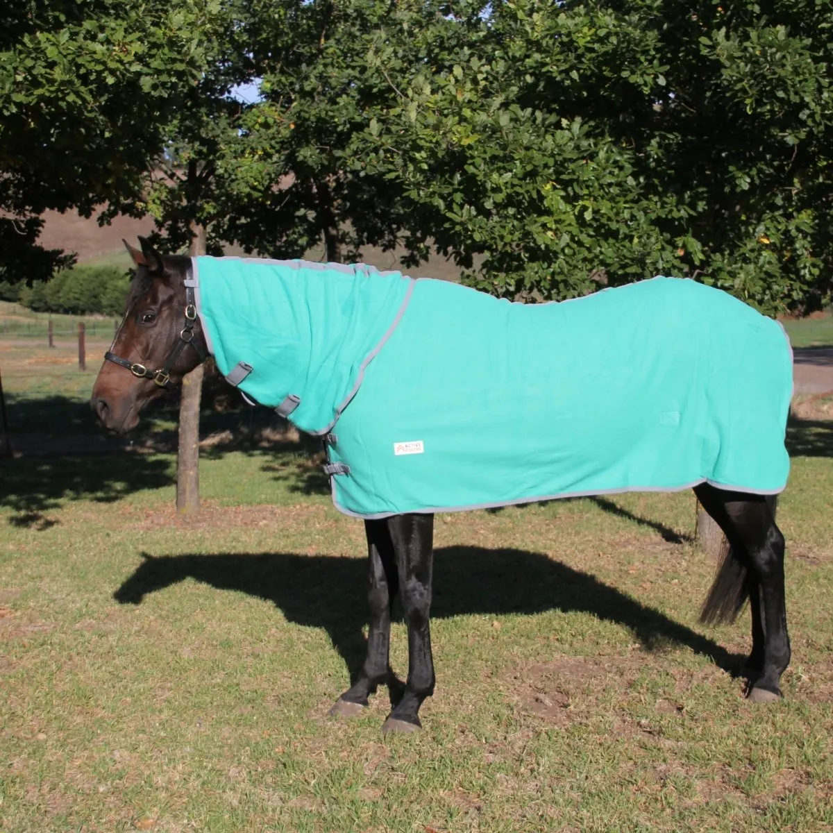 Fleece Horse Rug and Combo Rug | Active Equine