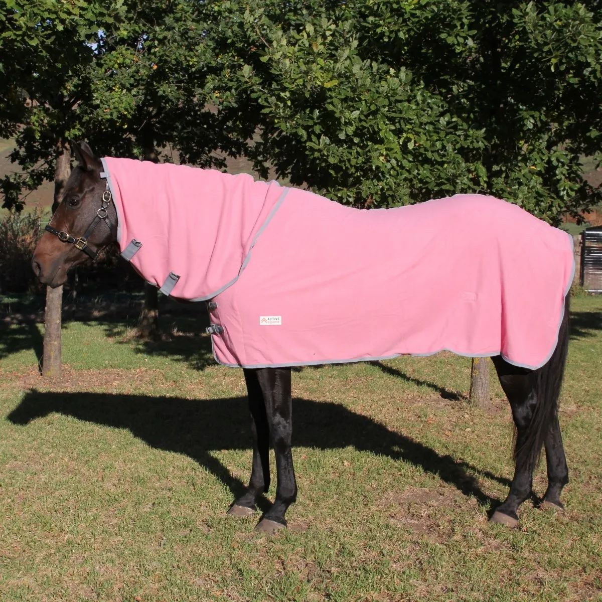 Fleece Horse Rug and Combo Rug | Active Equine