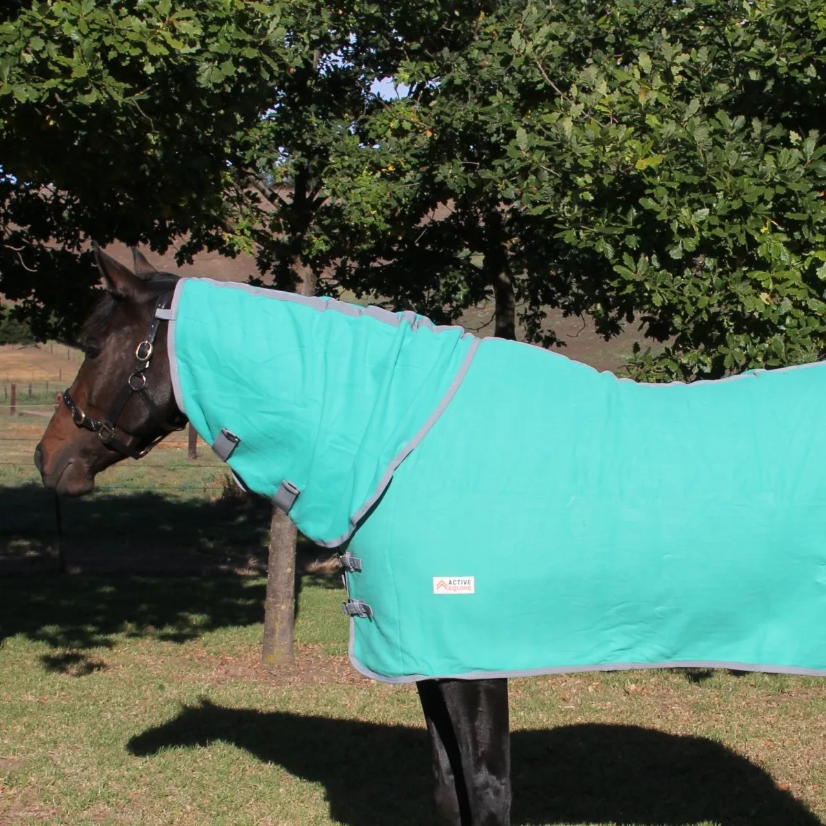 Fleece Horse Rug and Combo Rug | Active Equine